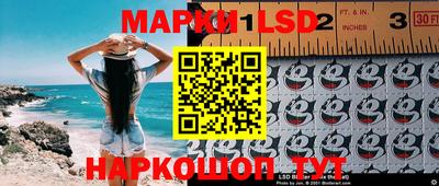 PSILOCYBIN Камышлов