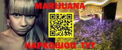 PSILOCYBIN Камышлов