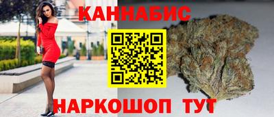 PSILOCYBIN Камышлов