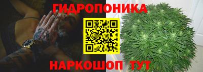 PSILOCYBIN Камышлов