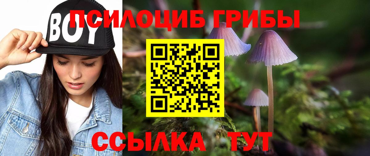 Псилоцибиновые грибы мухоморы  Псилоцибиновые грибы мухоморы  Вход с VPN  Беслан 