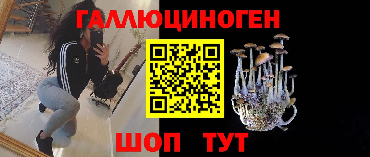 Псилоцибиновые грибы GOLDEN TEACHER Беслан